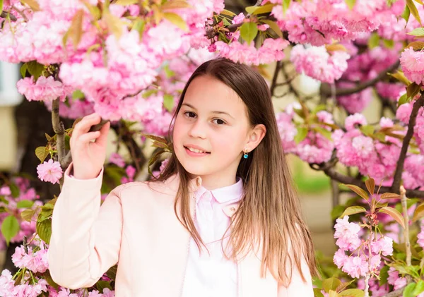Dziecko na różowe kwiaty z drzewa Sakura tle. Dziewczyna korzystających kwiat wiśni lub Sakura. Cute dziecko cieszyć ciepły dzień wiosny. Koncepcja kwitnienia aromatycznego. Dziewczyna turystyczny stwarzające w pobliżu Sakura. Delikatny rozkwit — Zdjęcie stockowe