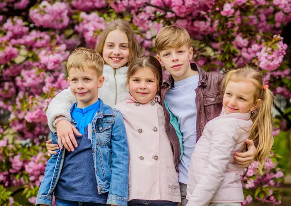 Happy spring vacation. Children enjoy warm spring. Lost in blossom. Girls and boys friends posing near sakura. Kids on pink flowers of sakura tree background. Kids enjoying cherry blossom sakura