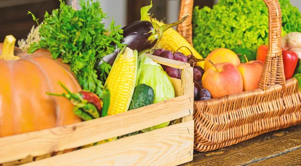 Fall harvest concept. Vegetables from garden or farm close up. Autumn harvest organic crops pumpkin corn vegetables. Homegrown vegetables. Fresh organic vegetables in wicker basket and wooden box