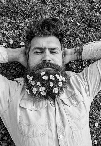 Hipster sur le visage de sommeil calme repose sur l'herbe, vue de dessus. Homme à la barbe et à la moustache aime le printemps, fond de prairie. Il a l'air bien avec des fleurs de marguerite ou de camomille dans la barbe. Concept vacances de printemps — Photo