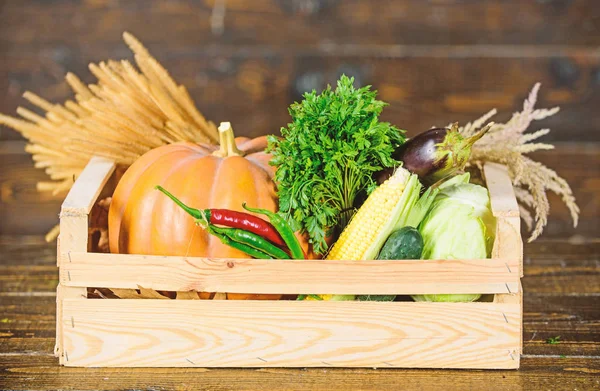 Παράδοση υπηρεσία φρέσκα λαχανικά από το αγρόκτημα. Κουτί ή καλάθι συγκομιδή λαχανικών ξύλινο υπόβαθρο. Εξαιρετικής ποιότητας λαχανικά. Έννοια κατάστημα παντοπωλείων. Αγοράστε φρέσκα ντόπια λαχανικά. Μόλις από τον κήπο — Φωτογραφία Αρχείου