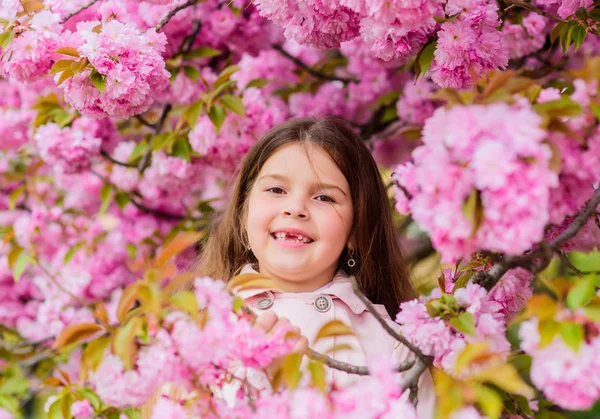 Pozbyć się alergii sezonowej. Dziewczyna ciesząc się kwiatowym aromatem. Koncepcja alergii pyłku. Dziecko na różowe kwiaty Sakura drzewo tło. Dziecko cieszyć się życiem bez alergii. Wąchania kwiatów. Lekarstwo na alergie — Zdjęcie stockowe
