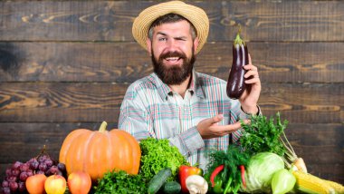 Organik haşere kontrolü. Sakallı ahşap arka planlı adam. Organik sebzeli çiftçi. Mükemmel kalitede hasat. Organik bitkileri büyümek. Organik gübreler toprağı ve bitkileri sağlıklı ve güçlü yapar