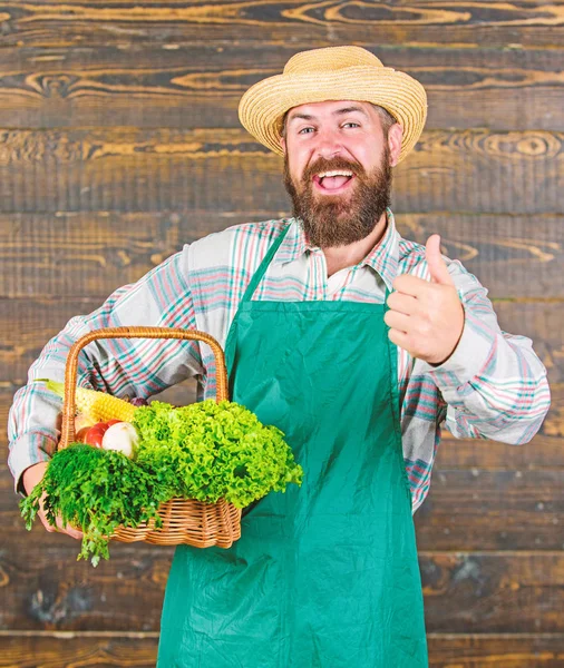 Granja entrega verduras frescas. Farmer hipster sombrero de paja entregar verduras frescas. Verduras orgánicas frescas en canasta de mimbre. Hombre barbudo agricultor usar delantal presentando verduras fondo de madera —  Fotos de Stock