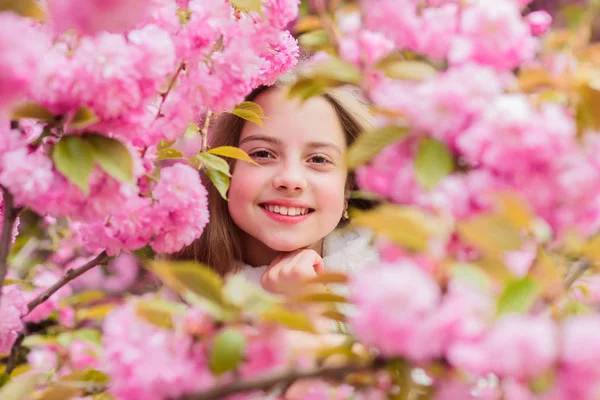 開花。さくらの近くにポーズをとる女の子観光客。桜の木の背景のピンクの花の子供。植物学の概念。桜を楽しんでいる女の子。かわいい子供は暖かい春の日をお楽しみください。花に失われた — ストック写真