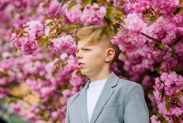 Selbstbewusste, stilvolle Kinder genießen einen warmen Frühlingstag. Junge modischer Teenager posiert in der Nähe von Sakura. Ein Gartenkonzept. Kind rosa Blüten von Sakura-Baum Hintergrund. Kerl genießt Kirschblütensakura — Stockfoto