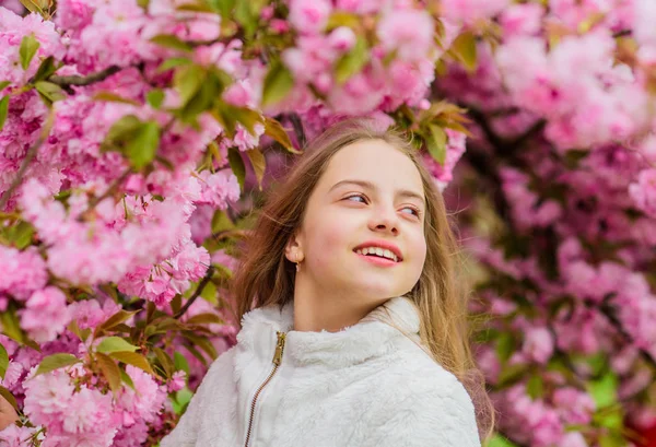 Puha és gyengéd. Pink a fejemben. Pink a kedvencem. Kislány élvezi tavasszal. Gyerek rózsaszín virágai Sakura fa kert. Gyerek élvezi rózsaszín cseresznyevirág. Pályázat virágzik. Fényes és élénk — Stock Fotó