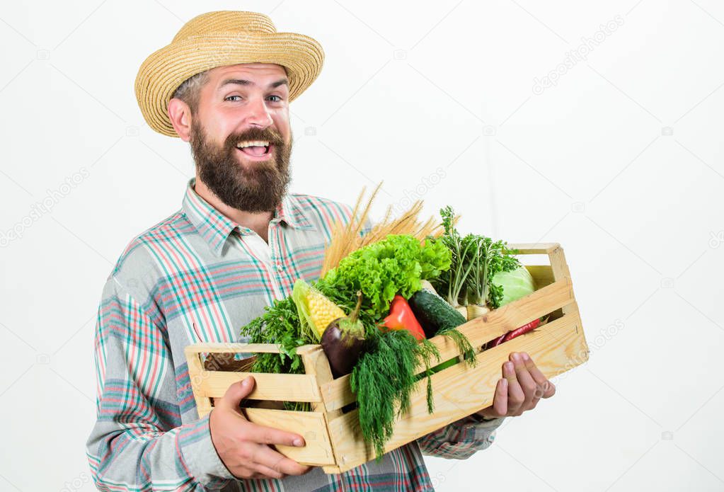 Locally grown foods. Farmer lifestyle professional occupation. Buy local foods. Farmer rustic bearded man hold wooden box with homegrown vegetables white background. Farmer guy carry harvest