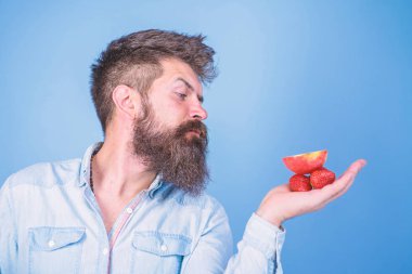Sakallı adam katı yüz organik davranır sunmaktadır. Muamele etmek var. Elma meyve mavi arka plan davranır ve çilek denemek adam sunuyor. Sakallı hippi çilek ve elma Palm'da tutar