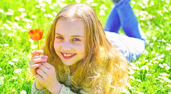 Flicka på leende ansikte innehar röd tulip flower, Njut doften. Barn njuta av soliga vårdag liggandes på ängen med daisy blommor. Spring break koncept. Flicka liggande på gräset, grassplot på bakgrund — Stockfoto