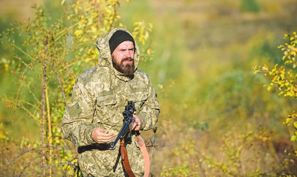 Genellikle sınırlı hayvan hasat. Avcılık Hobi kavramı. Deneyim ve pratik başarı avcılık oldukça rahat. Av sezonu. Adam av doğa ortamı. Sakallı avcı tüfeği doğa arka plan