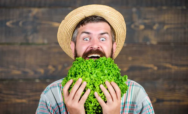 Yeşil ve sağlıklı yiyecekler. sonbahar mahsullü adam şef. mevsimlik vitamin gıda. Faydalı sebze. sakallı olgun çiftçi. organik ve doğal gıda. hasat festivali. mutlu adam yeşil salata yaprakları yeme