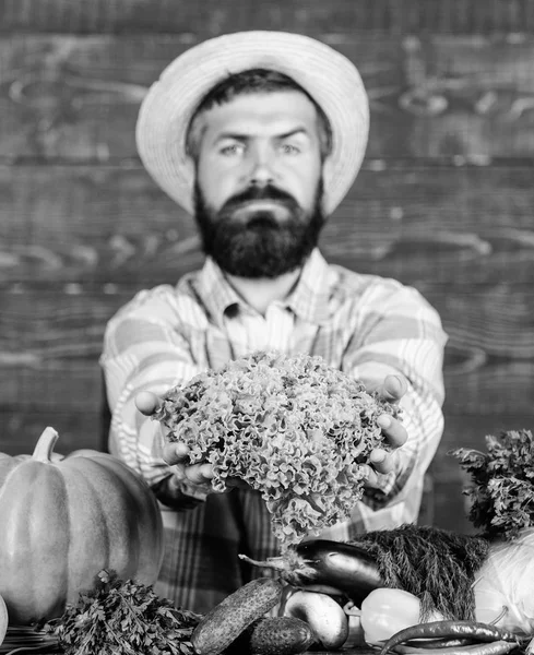 Homem maduro agricultor barbudo segurar vegetais fundo de madeira. Vender legumes. Mercado local. Conceito de culturas cultivadas localmente. Compre legumes fazenda local. Um agricultor típico. Festival da colheita no mercado agrícola — Fotografia de Stock