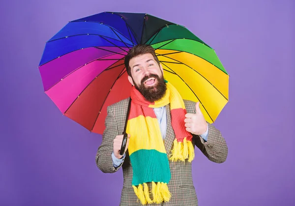 He likes rain. Bearded man giving thumbs up hand gesture to rain weather. Hipster holding colorful umbrella. Rain man. The colorful umbrella never fails to catch the eye