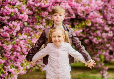 Çift sevimli sevimli çocuklar sakura bahçe yürümek. Şefkatli aşk duyguları. Küçük kız ve oğlan. Parkta romantik bir randevu. Aşık olmak için bahar zamanı. Pembe kiraz çiçeğine aşık çocuklar. Havada aşk var.