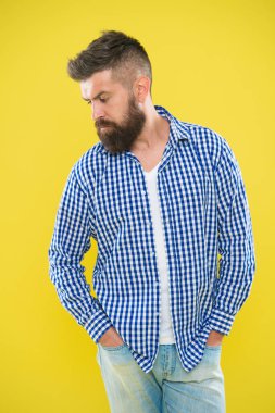 sarı arka planda sakallı karizmatik bir adam. Erkek modası ve bahar stili. Olgun ciddi adam. Yaz hipsterı. Damalı gömlekli vahşi sakallı hipster. erkek sakal şekillendirme. trendy erkek