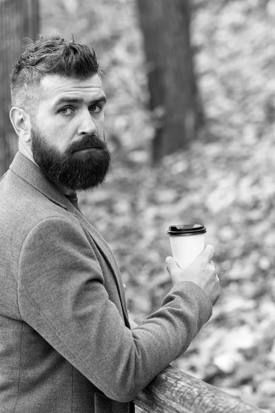 Drink it on the go. Man bearded hipster prefer coffee take away. Businessman bearded guy drink coffee outdoors. Hipster hold paper coffee cup and enjoy park environment. Relaxing coffee break
