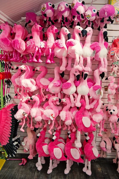 Mainan flamingo dipajang di Key West, Amerika Serikat — Stok Foto