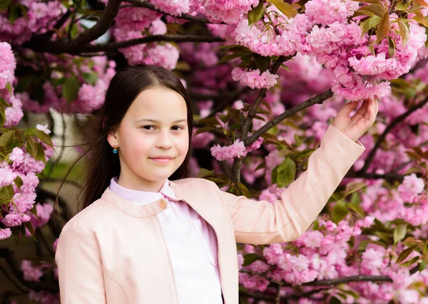 Dziewczyna korzystających kwiat wiśni lub Sakura. Cute dziecko cieszyć się naturą w dniu wiosny. Koncepcja kwitnienia aromatycznego. Dziewczyna turystyczny stwarzające w pobliżu Sakura. Delikatny rozkwit. Dziecko na różowe kwiaty z drzewa Sakura tle — Zdjęcie stockowe