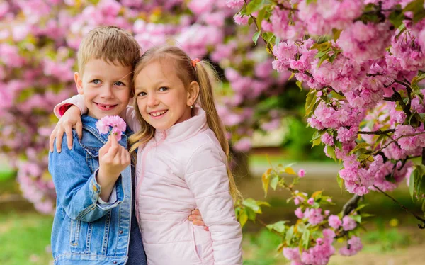 ロマンチックな赤ちゃんピンクの桜を楽しむ子供たち。優しい愛の気持ち。桜の背景の花にカップルの子供たち。小さな女の子は春の花を楽しみます。彼女にすべての花を与える。彼女を驚かせる — ストック写真