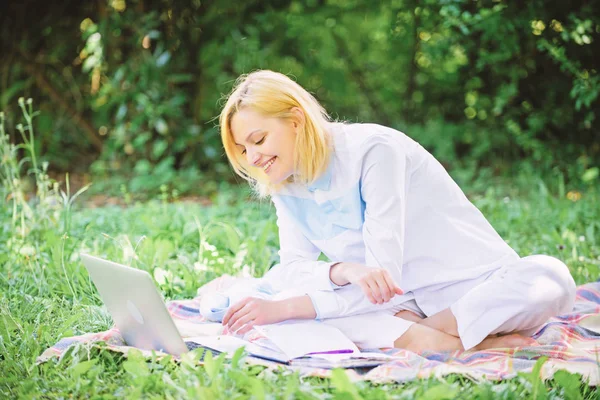 Idéer för online affärsidé. Picknick affärsidé. Steg för att starta frilansande verksamhet. Business lady freelancer arbete utomhus. Kvinna med laptop eller anteckningsboken sitta på mattan grönt gräs äng — Stockfoto