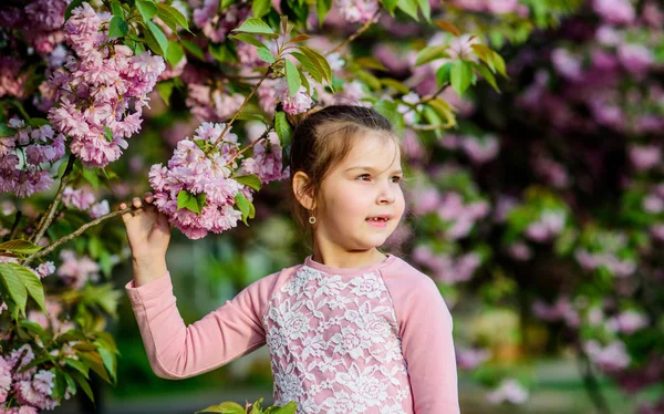 Virág illata, allergia. kis lány gyermek tavaszi virág virágzik. boldog lány cseresznyevirág. Sakura fa virágzó. bőrápoló Spa. Természetes kozmetikumok a bőr. Nyári. Örökké fiatal és ingyenes — Stock Fotó