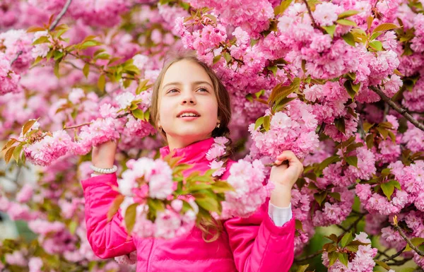 Kid njuter av rosa körsbärsblomma. Anbud Bloom. Pink är den mest flickaktiga färgen. Ljusa och livfulla. Pink är min favorit. Liten flicka njuta av våren. Kid på rosa blommor av Sakura Tree bakgrund — Stockfoto
