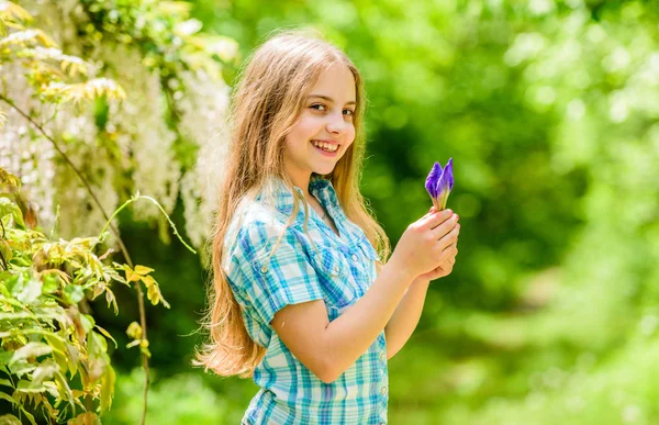 小さな女の子と虹彩の花。幸せな子供は虹彩の花を保持します。夏休み。緑の環境。自然の美しさ。子供の頃の幸せ花屋。春休み。女性の日。あそこを見てごらん — ストック写真