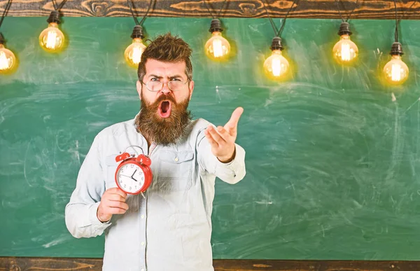 Programação e conceito de regime. O professor de óculos tem despertador. Homem com barba a gritar cara a cara a discutir expressão. Barbudo hipster detém relógio, quadro no fundo, espaço de cópia — Fotografia de Stock