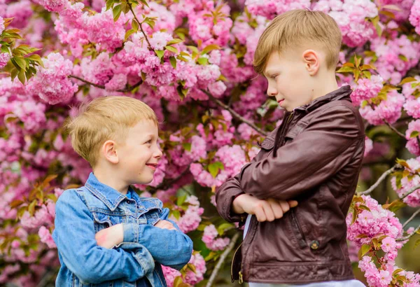 Bambini primavera fiori rosa di sakura albero di sfondo. Concetto botanico. Ai fratelli piacciono i fiori di ciliegio. Concetto di fratellanza. Buone vacanze primaverili.I bambini godono della calda primavera. Ragazzi in posa vicino a sakura — Foto Stock