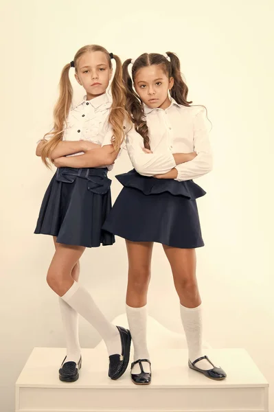 Estudantes arrogante arrogante com rabo de cavalo penteado. Melhores amigos excelentes alunos. Perfeito alunas arrumado cabelo extravagante. penteados da escola lista superior final. Senhora chefe. Escola de moda e estilo — Fotografia de Stock