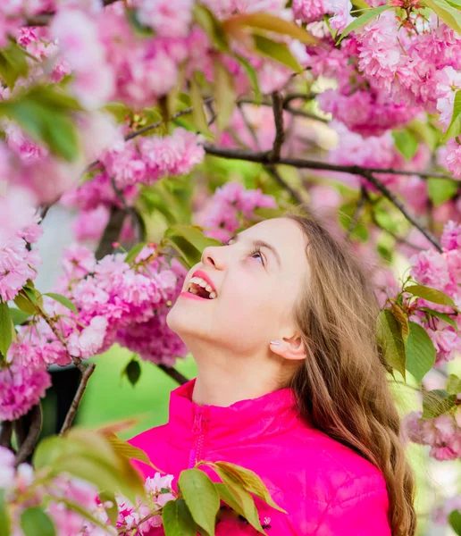 Yaz tatili. Çocukluk güzelliği. kiraz çiçek mutlu kız. Sakura ağacı açıyor. bahar çiçeği küçük kız. cilt bakım spa. Cilt için doğal kozmetik. çiçek kokusu, alerji. Ekspres pozitiflik — Stok fotoğraf
