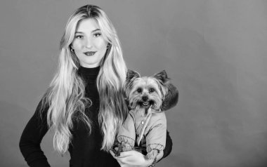 Soğuk hava için soyunma köpek. Hangi köpek ırkları ceket giymelisin. Kız küçük köpek kat sarıl. Kadın taşımak yorkshire korkunç. Yapmak emin köpek giysilerle rahat hissediyorum. Giyim ve aksesuarları