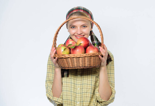 Сельский садовник собирает яблоки. Девушка садовник деревенский стиль держать яблоко белого фона. Здравоохранение и витаминное питание. Идеальное яблоко. Продуктовый магазин. Садись на диету. Женщина любит натуральные фрукты
