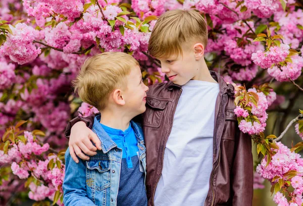 子供たちは暖かい春を楽しむ。さくらの近くにポーズをとる男の子。桜の木の背景の子供春ピンクの花。植物学の概念。桜を楽しむ兄弟。同胞団の概念。幸せな春の休日 — ストック写真