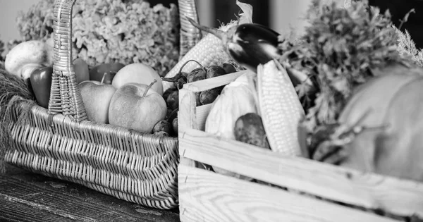 Légumes du jardin ou de la ferme fermer. Légumes maison. Légumes bio frais dans un panier en osier et une boîte en bois. Concept de récolte d'automne. Récolte d'automne cultures biologiques maïs-citrouille légumes — Photo