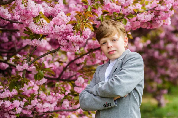 Concept de jardin Sakura. Enfant élégant confiant profiter de la chaude journée de printemps. Garçon adolescent à la mode posant près de sakura. Enfant fleurs roses de fond d'arbre sakura. Guy appréciant la fleur de cerisier sakura — Photo