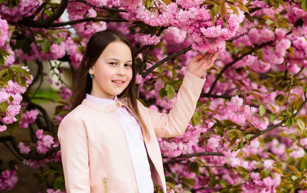 Koncepcja aromatycznego kwiatu. Turystka pozująca w pobliżu Sakury. Delikatny kwiat. Dziecko na różowe kwiaty tła drzewa sakura. Dziewczyna ciesząca się kwiatem wiśni lub sakura. Cute dziecko cieszyć się naturą na dzień wiosny — Zdjęcie stockowe