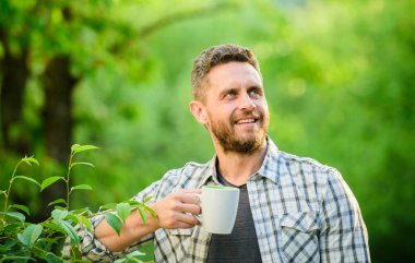 Yeşil çay sağlığını geliştirmek biyoaktif bileşikler içerir. Bütün yaprak çayı. Doğal içecek. Sağlıklı yaşam tarzı. Yeşil çayı tercih ederim. Ferahlatıcı bir içki. Adam sakallı çay çiftçi kupa doğa arka plan tutun