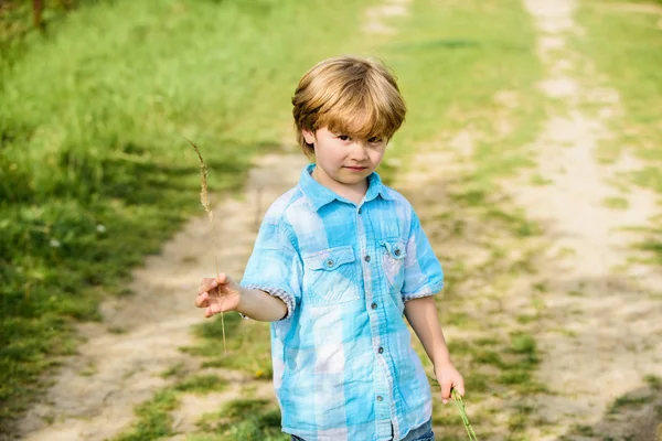 Chlapeček drží trávu v ruce. nový život. člověka a přírody. malý kluk, co chodí venku. pozemský den. Ekologická budoucnost. Letní aktivity. zemědělství a zemědělství. šťastného farmáře. Jarní sklizeň — Stock fotografie