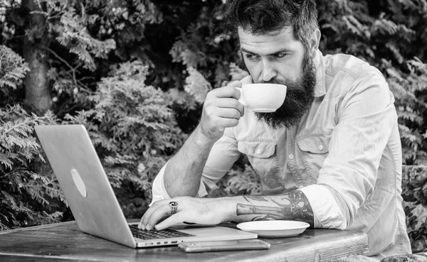 Planlegger ferie. Bokleiligheten er online. Mannen med skjegget hipster sitter utendørs med laptop surfing internett og drikke kaffe. En fyr som leter etter leilighet. Finn leilighet til helligdager eller ferier – stockfoto