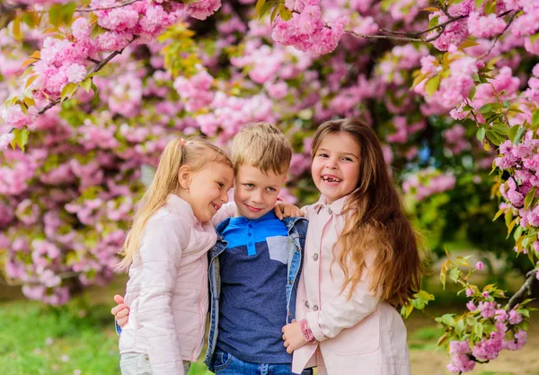 Buone vacanze di primavera. Ragazze e ragazzi che posano vicino a Sakura. Bambini su fiori rosa di sfondo albero di sakura. Ai bambini piace il sakura ai fiori di ciliegio. I bambini godono della calda primavera. Perso in fiore — Foto Stock