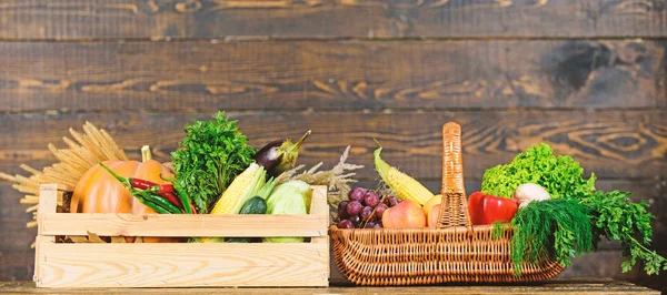 Lebensmittelgeschäft-Konzept. Lieferservice frisches Gemüse vom Bauernhof. kaufen Sie frisches Gemüse aus eigenem Anbau. nur aus dem Garten. Feld oder Korb Ernte Gemüse hölzernen Hintergrund. Gemüse von hervorragender Qualität — Stockfoto
