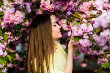 kiraz çiçeği kız. Sakura ağacı açıyor. çiçek kokusu, alerji. cilt bakımı ve spa. Cilt için doğal kozmetik. doğal yaz güzelliği. bahar çiçek çiçek kadın. Bahar tazeliği