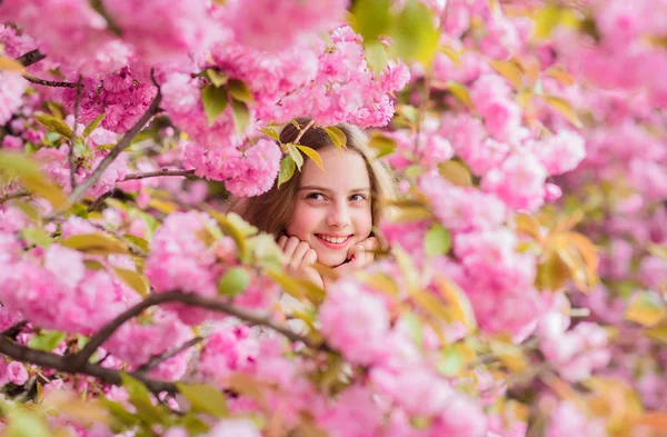 Vilse i Blossom. Anbud Bloom. Flicka turist poserar nära Sakura. Barn på rosa blommor av Sakura Tree bakgrund. Botanik koncept. Flicka njuter körsbärsblomma Sakura. Söta barn njuta av varm vårdag — Stockfoto