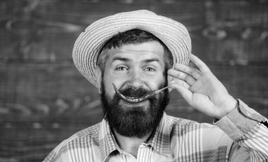 Hasır şapkalı rustik çiftçi baharatlı tadı seviyor. Adam tutun biber hasat. Biber hasat kavramı. Sakallı çiftçi biber kırmızı biber elinde tut. Sıcak biber biber ahşap arka plan sunulması çiftçi