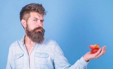 Sakallı adam katı yüz organik davranır sunmaktadır. Muamele etmek var. Sakallı hippi çilek ve elma avuç içinde tutar. Adam çilek denemek teklifler ve elma meyve mavi arka plan davranır