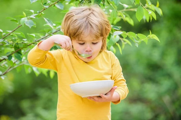 Nutrição para crianças. O miúdo come mingau de cereal ao ar livre. Tem um grande apetite. Nutrição orgânica. Conceito de nutrição saudável. Hábitos nutricionais. Rapaz segura a colher. Criança pequena desfrutar de refeição caseira — Fotografia de Stock