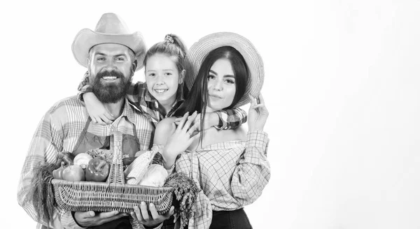 Os pais e a filha celebram a colheita. Conceito de festival de colheita. Agricultores familiares jardineiros legumes colheita isolado fundo branco. Agricultores familiares rústicos orgulhosos da colheita de outono. Crescido com amor — Fotografia de Stock