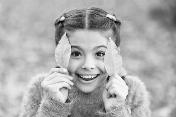 秋の森で幸せな小さな女の子。紅葉の小さな子。幸せな子供時代。学校の時間。秋の紅葉と自然。トレンディな美しさ。どんな天候で良い気分。新鮮な空気と良い気分 — ストック写真